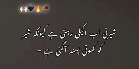 Attitude Poetry image
