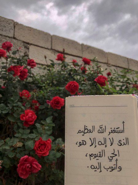 حضرت عمر بن عبد العزیز رحمه اللہ تعالیٰ کہتے ہیں:
"میں نے خواب میں اپنے والد کو دیکھا؛ گویا وہ ایک باغ میں ہیں؛
میں نے عرض کیا: آپ نے اپنا کون عمل سب سے افضل پایا؟
فرمایا: اِستغفار!"
(شرح البخاری : 78/10)