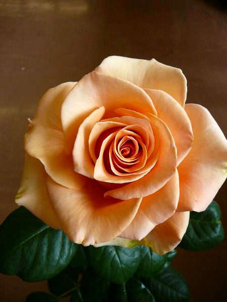 Beautiful Nature image