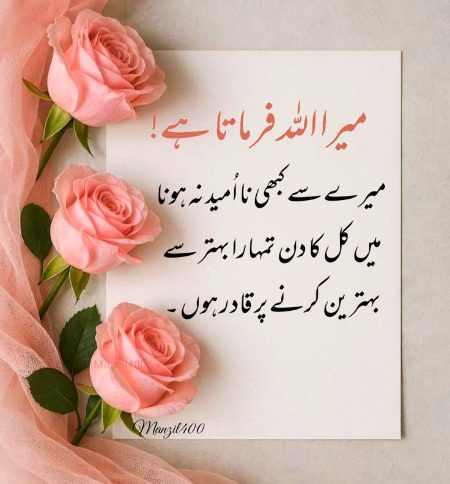 Islamic Quotes image