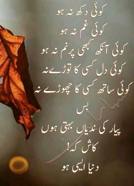 Kash k dunia asi hi ho S