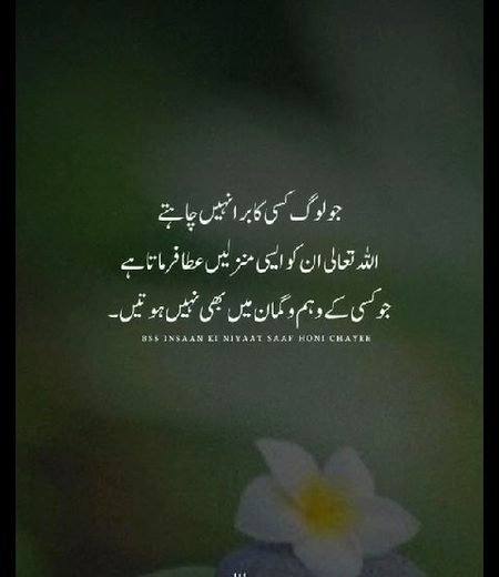 Islamic Quotes image