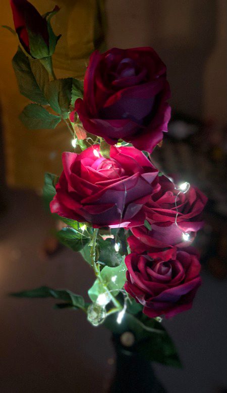 Beautiful Nature image