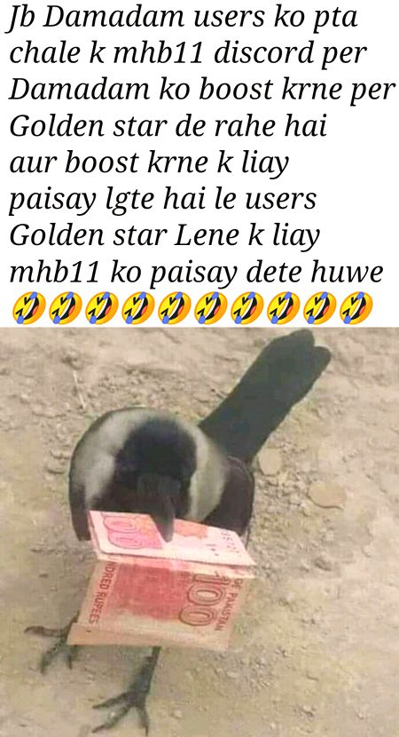 Damadam Roasting image