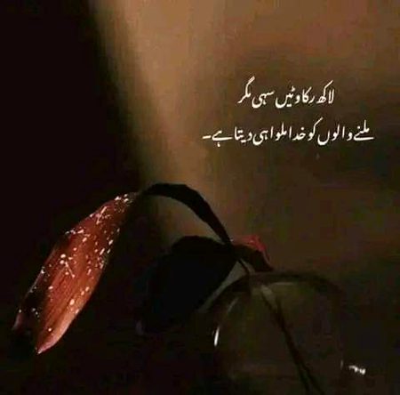 No doubt