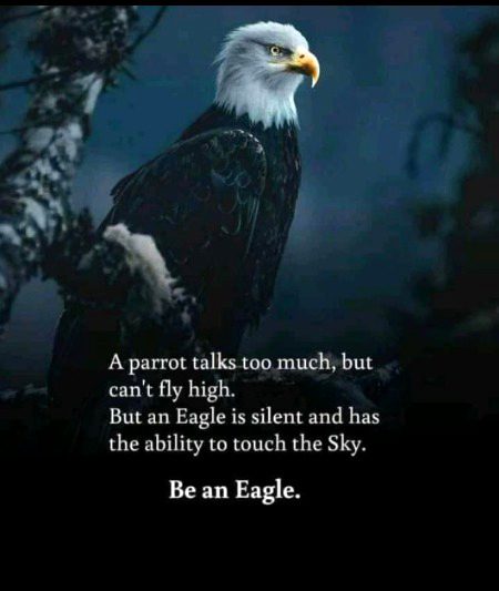 Be eagle 🦅💫