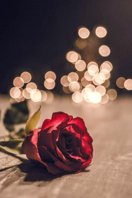 Beautiful Nature image