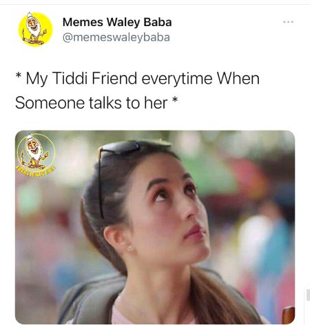 Memes & Satire image