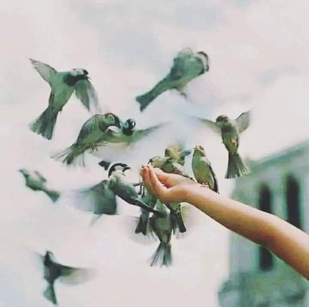 لوگ لاکھ منتوں کے بعد بھی نہیں مانتے
اور میرا رب ایک سجدے میں مان جاتا ہے