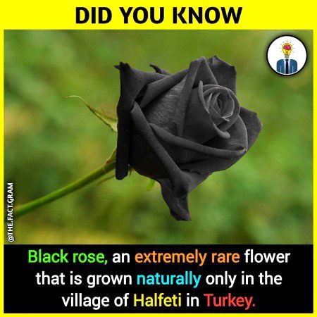 Interesting Posts image