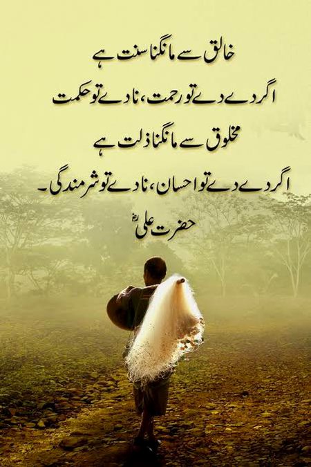 🍁Zoq_Shab🍁