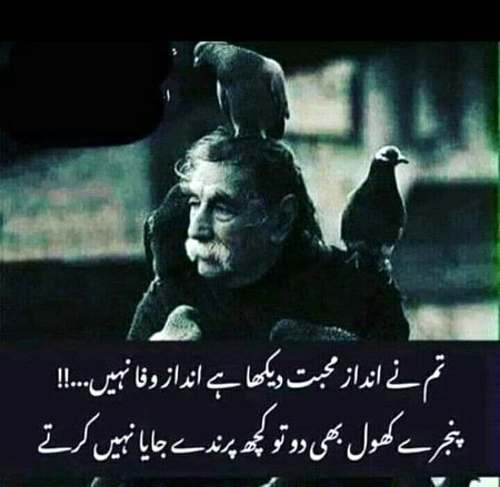 Sad Poetry image