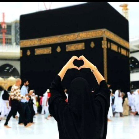 Beautiful Structures image