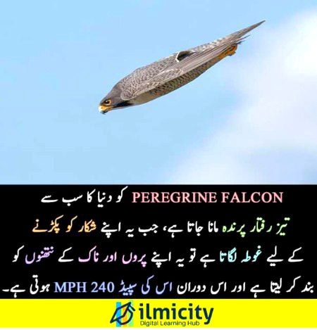 Interesting Posts image