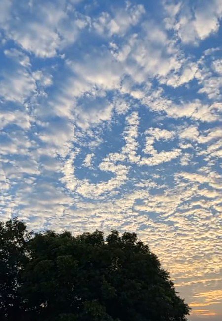 Beautiful Nature image