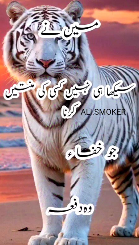 Attitude Poetry image