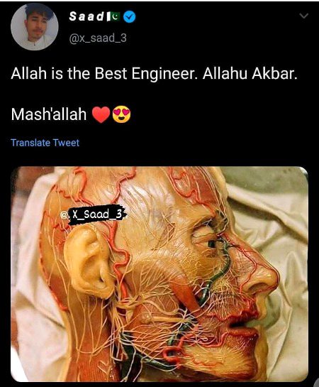 سبحان اللہ