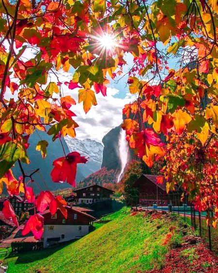 Beautiful Nature image