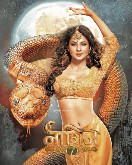 Indian Celebs image