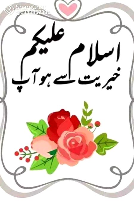 Saanaam Good aftrnon❣️❣️