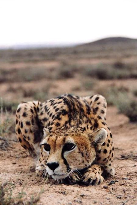 Beautiful Nature image