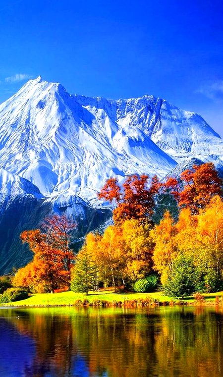 Beautiful Nature image