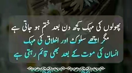 VERY TRUE SAY