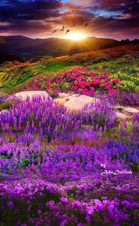 Beautiful Nature image
