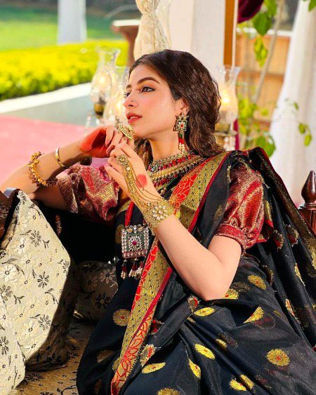 Pakistani Celebs image