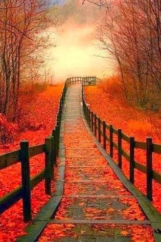 Beautiful Nature image