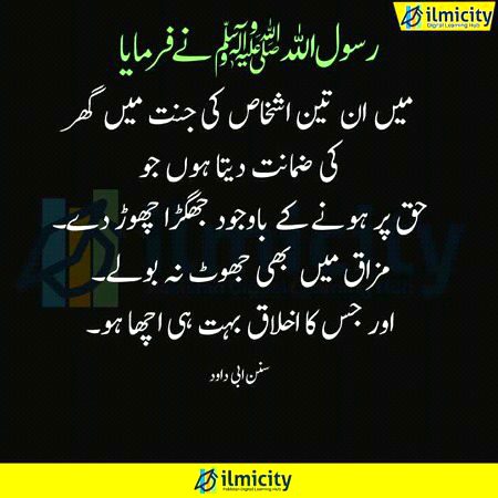 Islamic Quotes image