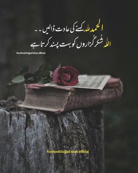 Islamic Quotes image