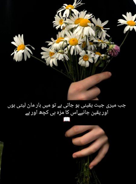 Azil sharing