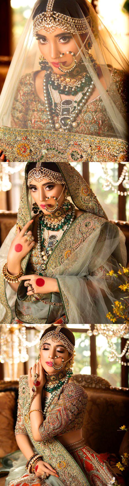 Pakistani Celebs image