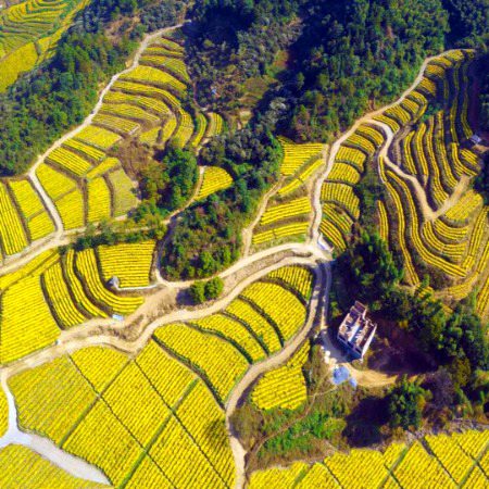Beautiful Nature image