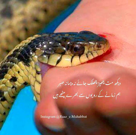 Sad Poetry image