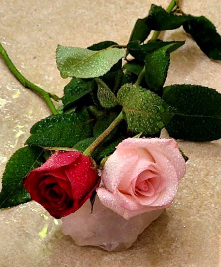 Beautiful Nature image