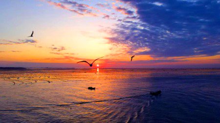 Beautiful Nature image