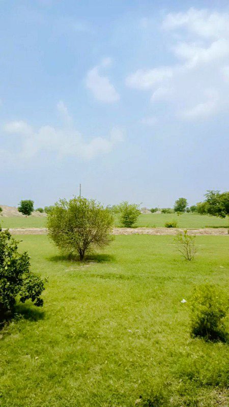 Beautiful Nature image