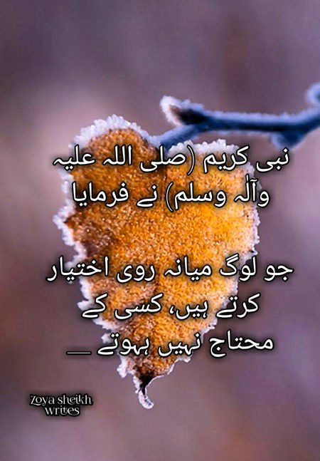 Islamic Quotes image