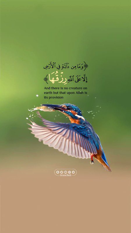 Islamic Quotes image