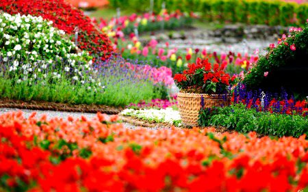 Beautiful Nature image