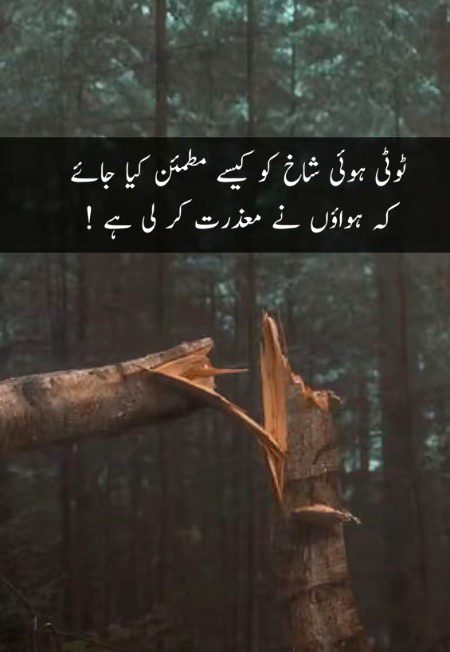 Uff ketna deep lines hai 💔💔