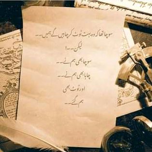 اس کے لفظوں کے مقابلے میں بھلا کیا کہتے   
میں نے حیران ہی رہنے میں سہولت دیکھی