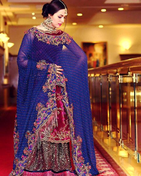 Pakistani Celebs image