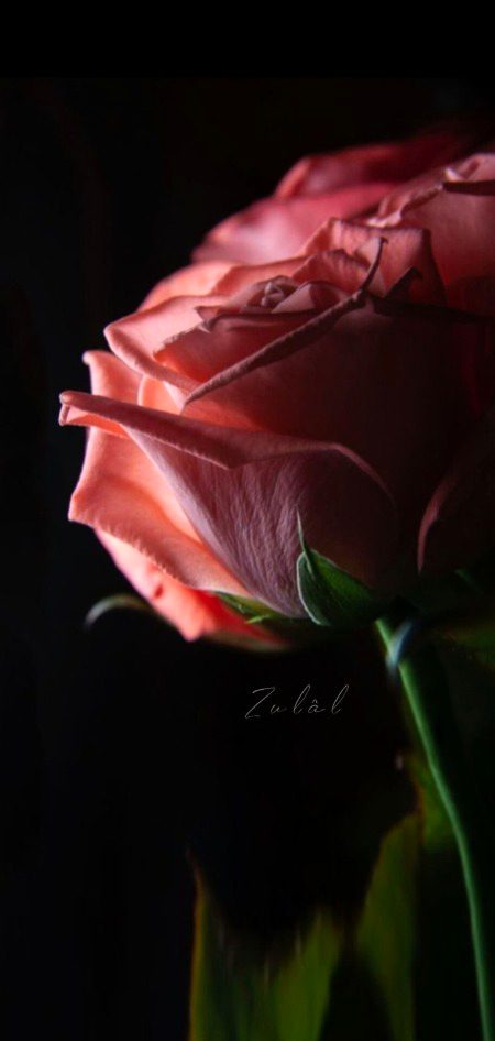 Beautiful Nature image