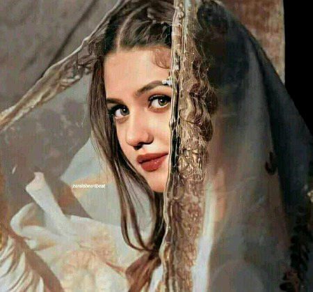 Pakistani Celebs image