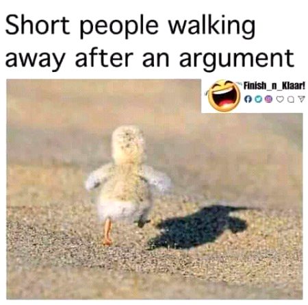 Memes & Satire image