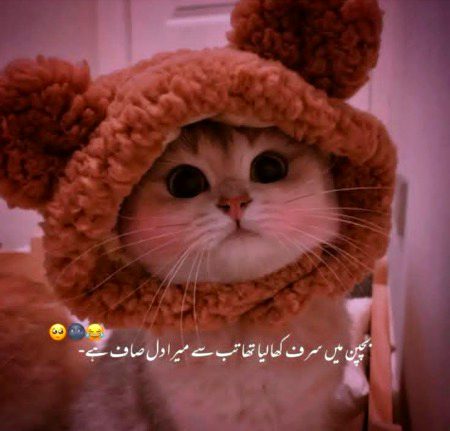 maahamkhan 🥀
