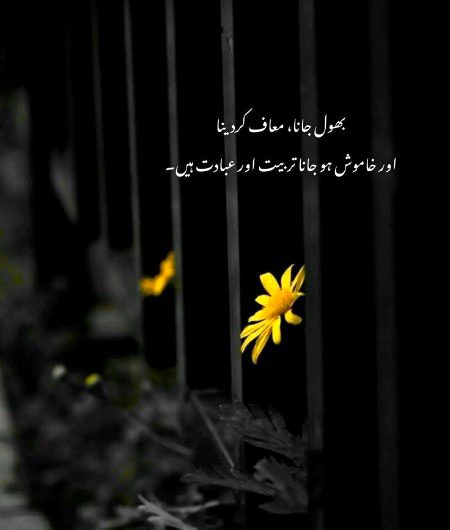 Motivational Quotes image